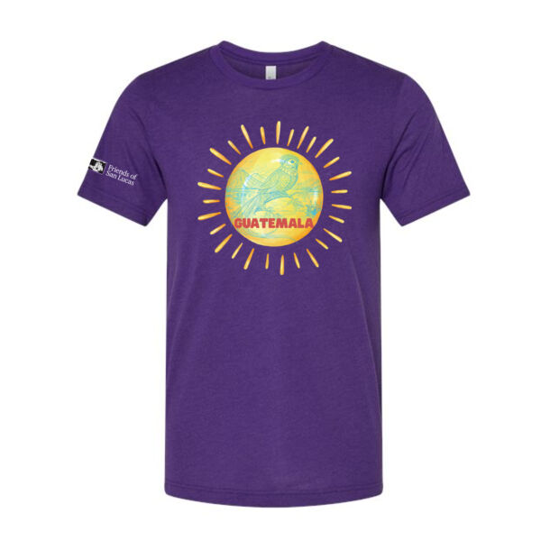 Triblend Tee - Printed Logos Thumbnail